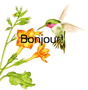 Gif animé bonjour